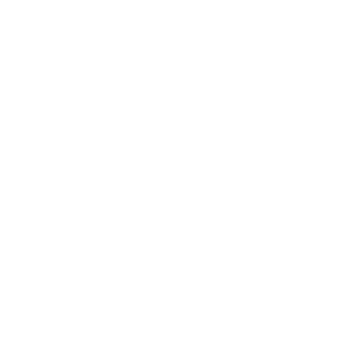 spirit TCM