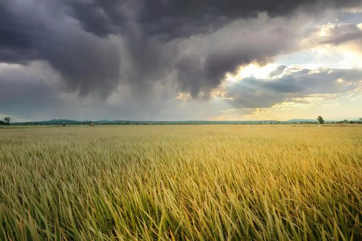 Scopri di più sull'articolo Fenomeni atmosferici estivi